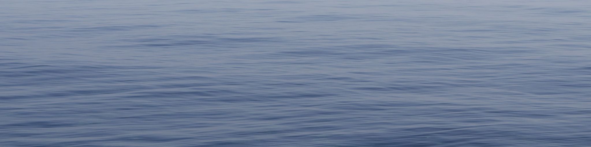 Wasser